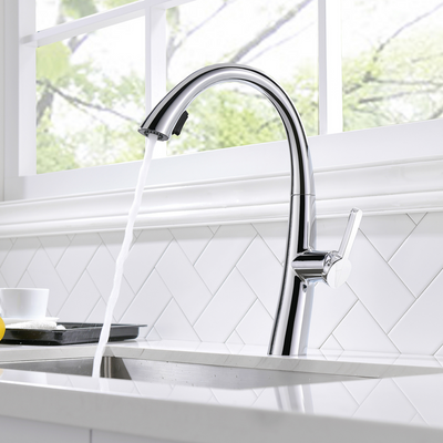 Single-Handle Kitchen Sink Faucet with Pull-Down Sprayer